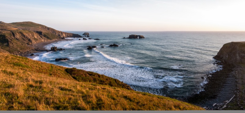 Goat Rock Beach