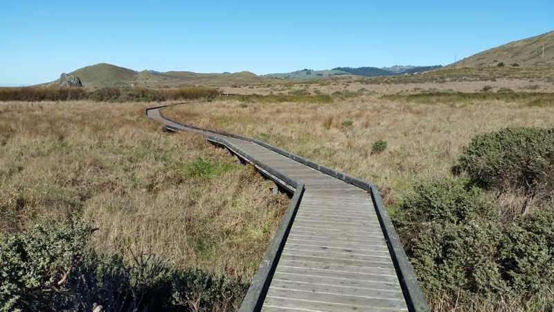 Kortum Trail