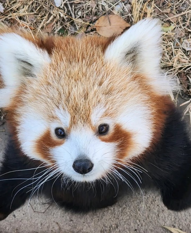 Sequoia Park Zoo