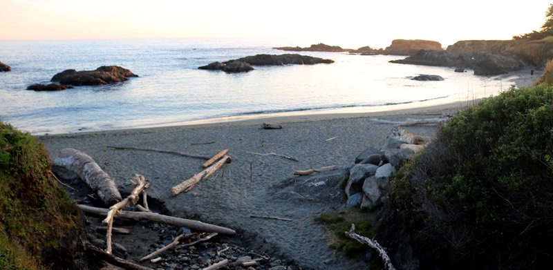 Shell Beach