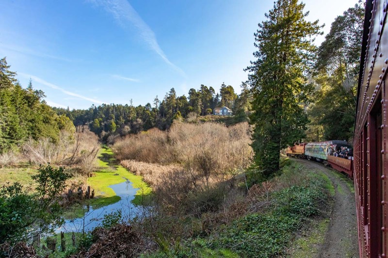 Skunk Train