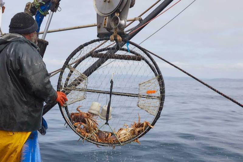 Spud Point Crab Company